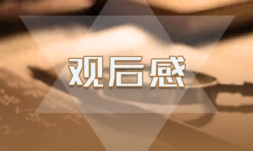 2020观看315晚会观后感心得体会最新5篇