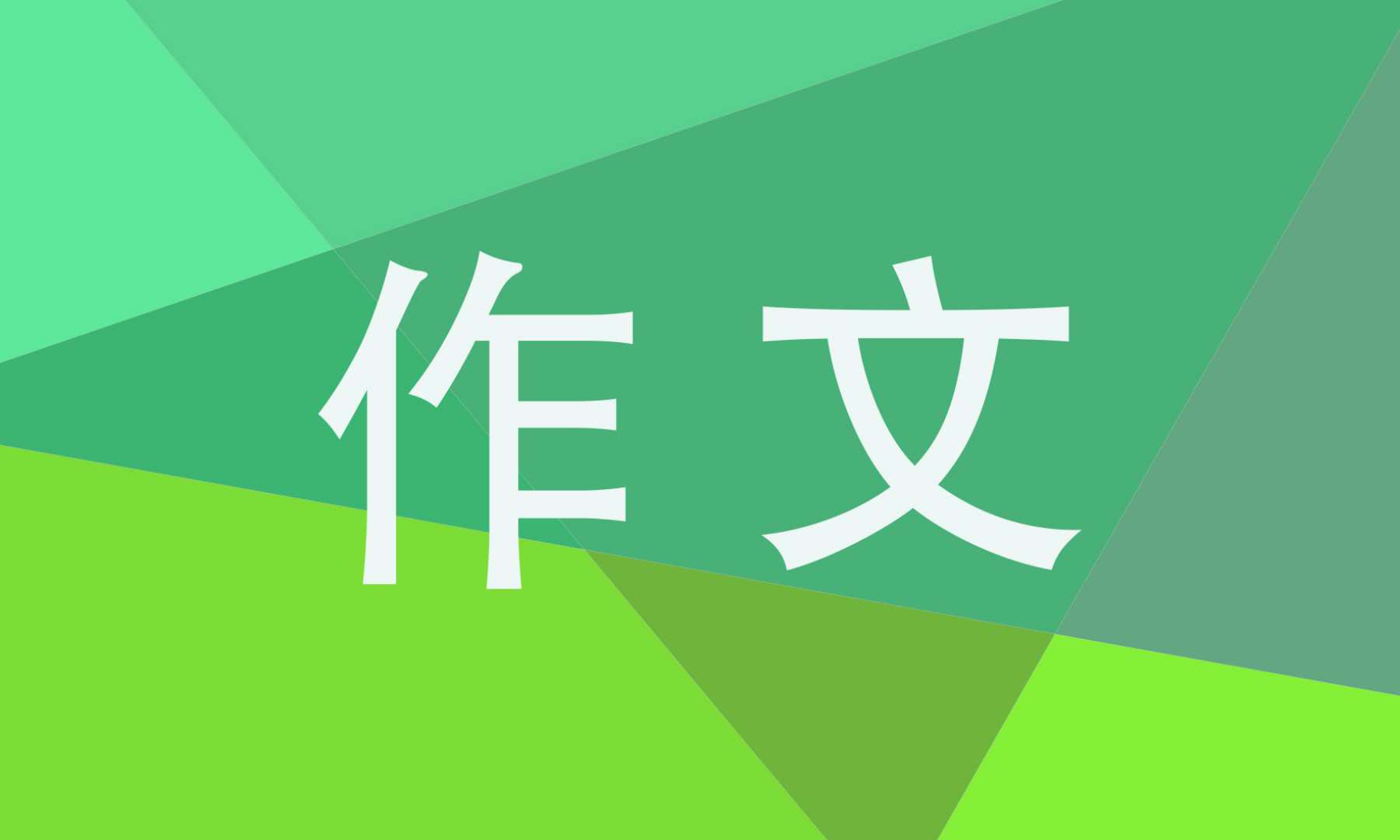 冬日黄昏时车来人往的街头小学作文最新大全5篇