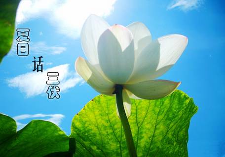 入伏时间怎么算