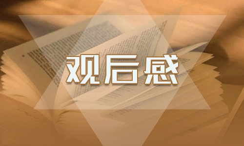2021致敬抗美援朝观后感作文