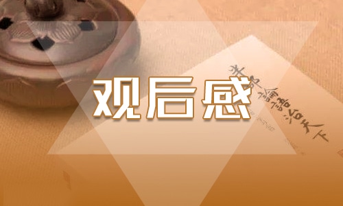 小学生观看315晚会观后感精选最新大全5篇