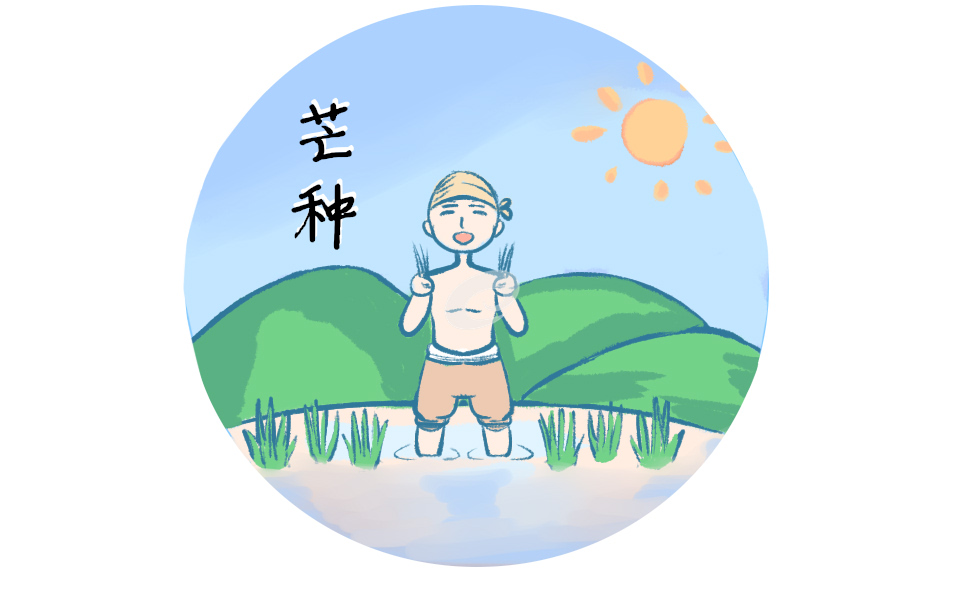 芒种的寓意及习俗活动最新