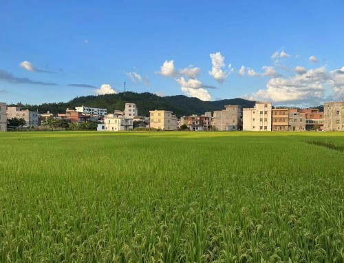 环保小知识资料大全