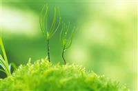 感恩类的演讲稿