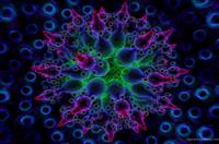 校园之星演讲稿