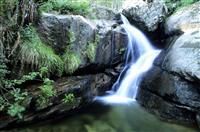 初中生新学期演讲稿