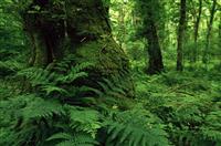 我为祖国骄傲演讲稿