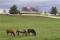 演讲竞聘演讲稿