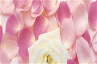 部长的竞聘演讲稿