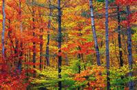 大学辅导员开学讲话稿