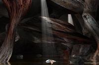 小学毕业演讲稿