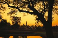 交通安全演讲稿