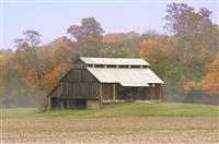 感恩母亲演讲稿