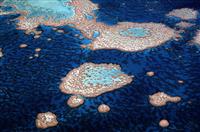 感恩母亲的演讲稿