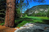 竞选宣传委员演讲稿