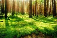 保险公司演讲稿