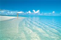 小学教师师德师风演讲稿