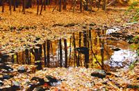 劳动主题演讲稿