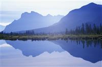 法制安全优秀演讲稿