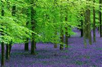 初中开学典礼演讲稿