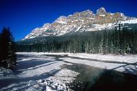 婚礼女方爸爸发言稿