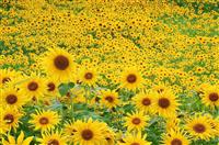 酒店领班的竞聘演讲稿