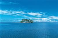 安全交通的演讲稿