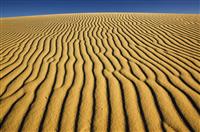 优秀员工演讲稿