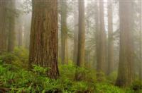 教师爱岗敬业演讲稿