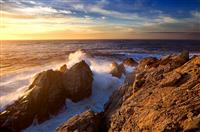 公司竞聘岗位演讲稿