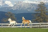 高三学生发言稿