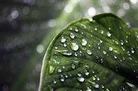 医院护士演讲稿