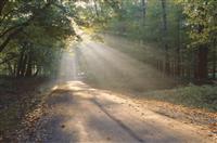 竞选体育部长演讲稿