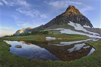 辞旧迎新演讲稿