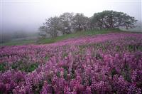 安全生产的演讲稿