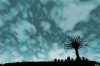 学会感恩演讲稿