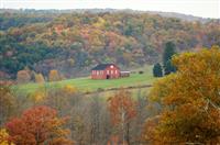 诚信考试的演讲稿