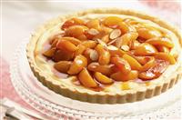 小学家长会家长演讲稿