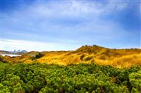 小学生告别母校的演讲稿