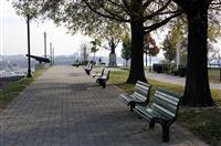 公司竞聘岗位演讲稿