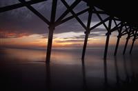 师德师风演讲稿