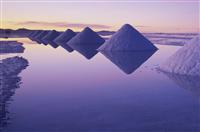 中学班主任竞聘演讲稿