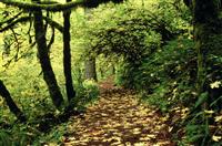 与爱国主题的演讲稿