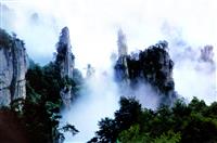 大学谢师宴致辞