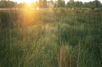 竞聘主任的演讲稿