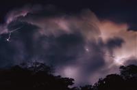 节约粮食的演讲稿