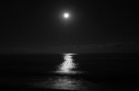 竞选宣传委员演讲稿