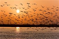 安全员给工人讲话稿