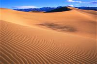 竞聘银行经理演讲稿