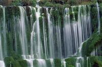 班长竞聘演讲稿